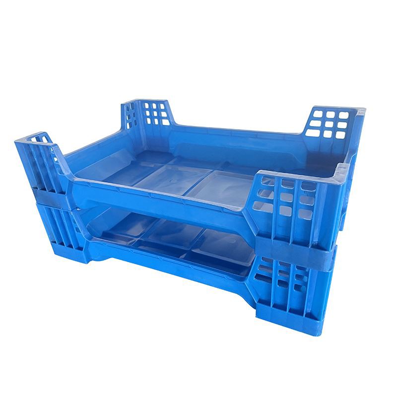 Custom Plastic Beetle Inlay Trays - Durable, Stackable PP