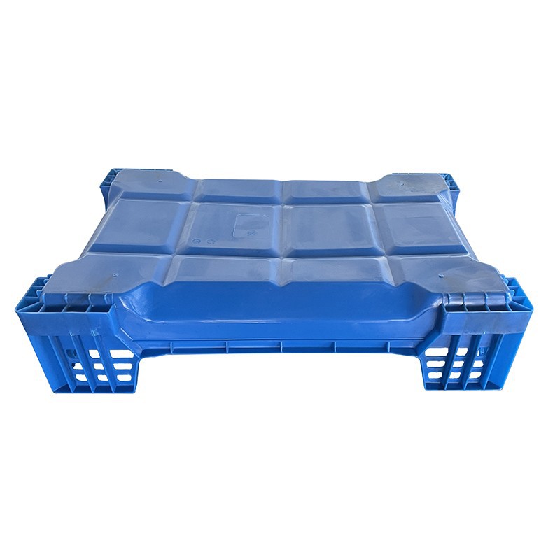 Custom Plastic Beetle Inlay Trays - Durable, Stackable PP image 5