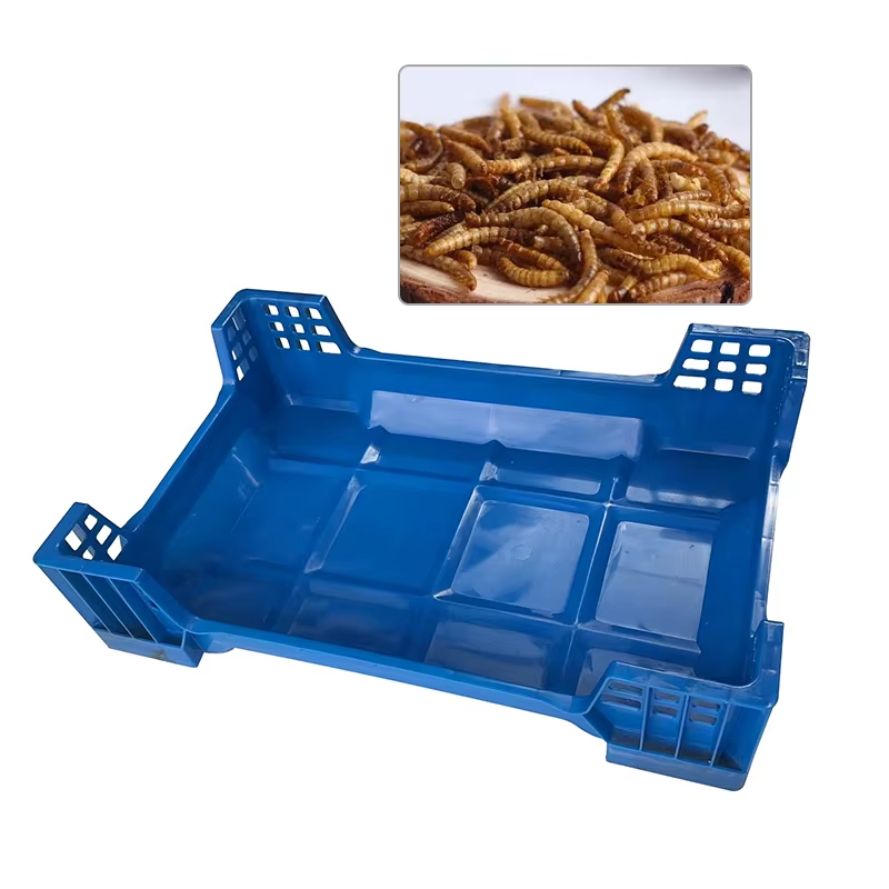 Custom Plastic Beetle Inlay Trays - Durable, Stackable PP