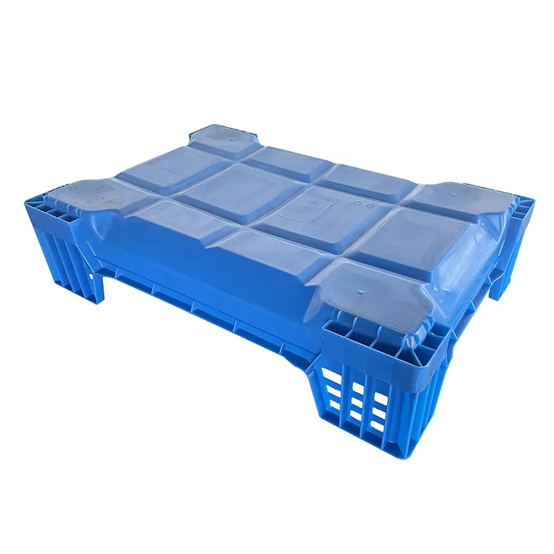 Custom Plastic Beetle Inlay Trays - Durable, Stackable PP
