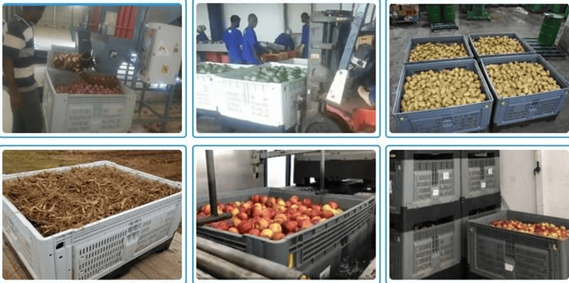 HDPE Folding Large Plastic Pallet Box for Fruits & Vegetables HDPE Folding Large Plastic Pallet Box for Fruits & Vegetables