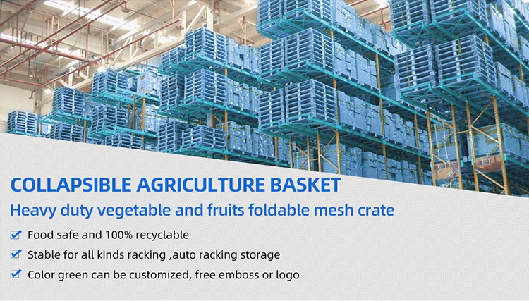 Heavy-Duty Collapsible HDPE Plastic Crates for Logistics