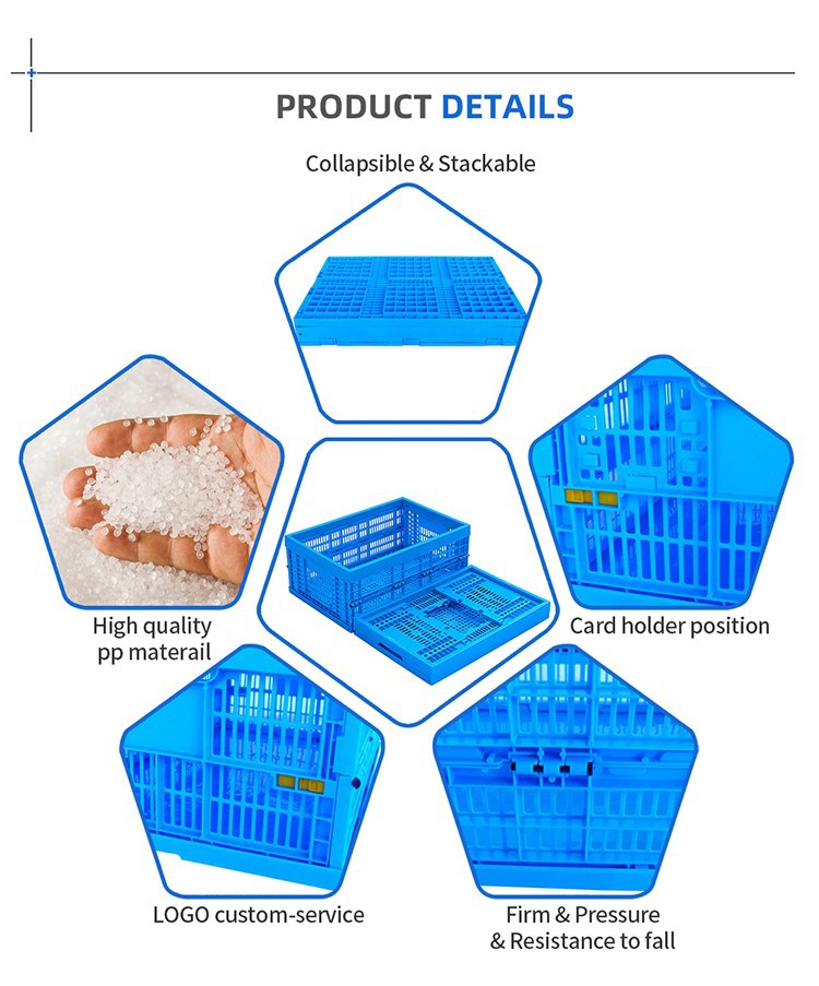 Heavy-Duty Collapsible HDPE Plastic Crates for Logistics