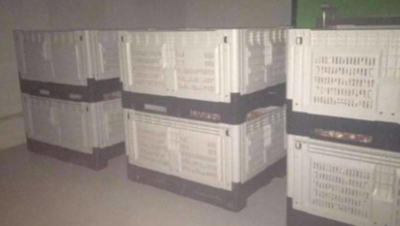 Foldable Plastic Crate for Fruits and Vegetables Vented Collapsible Plastic Container for Fruits & Vegetables
