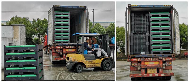 Food-Grade Pallet Container Durable HDPE Folding Pallet Bin for Fruit Storage