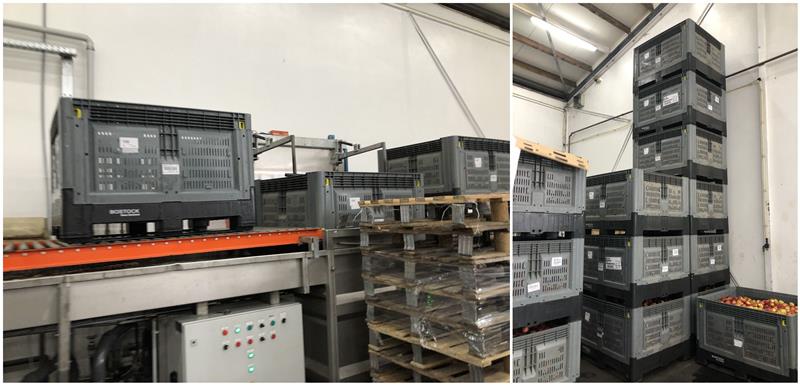 Hygienic Foldable Plastic Pallet Bin with Ventilated Design