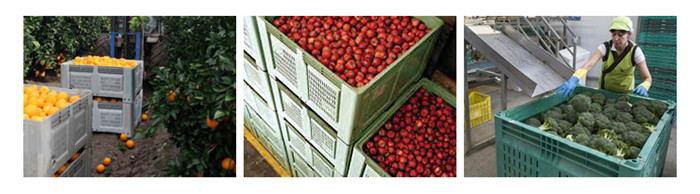 Durable Perforated Plastic Pallet Box for Logistics & Storage