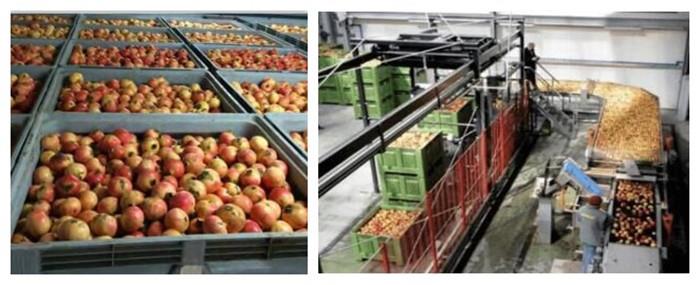 Durable HDPE Mesh Plastic Pallet Storage Box for Logistics