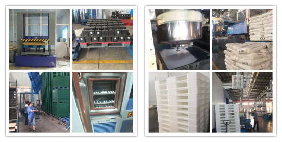 Plastic Pallet Production and Testing Reversible Stackable HDPE Plastic Pallet for Warehouse Storage