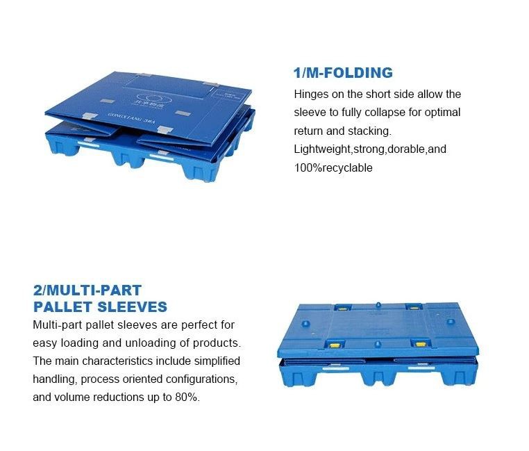Foldable Plastic Pallet with Honeycomb Coaming – Durable & Stackable