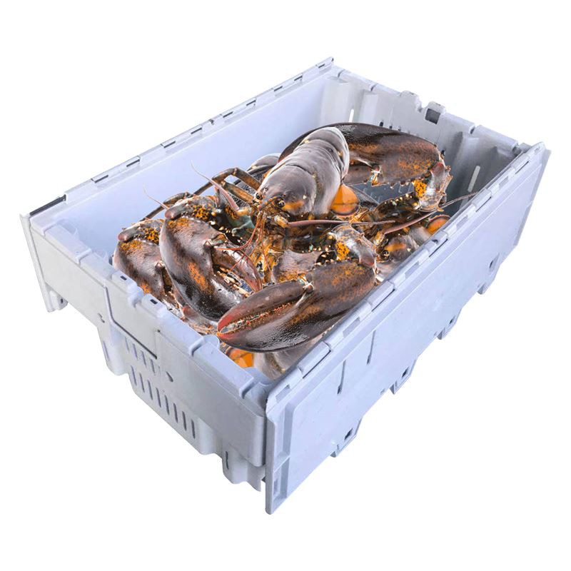 Durable Floating Lobster Crate for Fishing Industry
