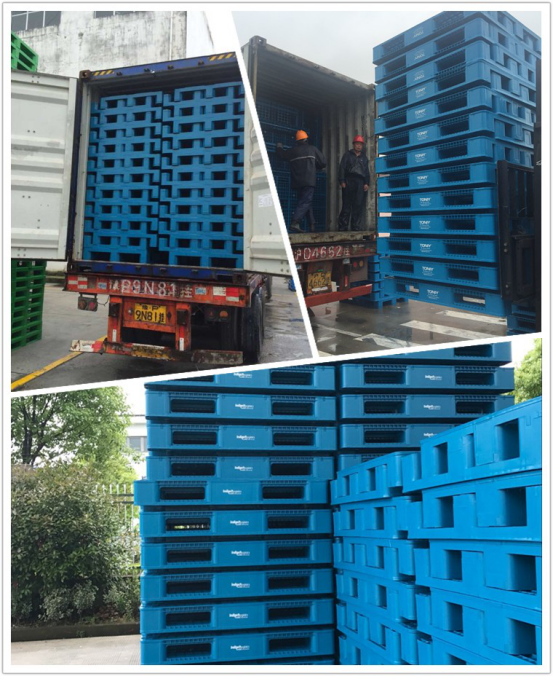 Efficient Packing and Shipping Durable 1200x1000mm HDPE Plastic Pallet with 3 Skids