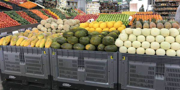Heavy Duty Foldable Plastic Pallet Container for Food & Logistics