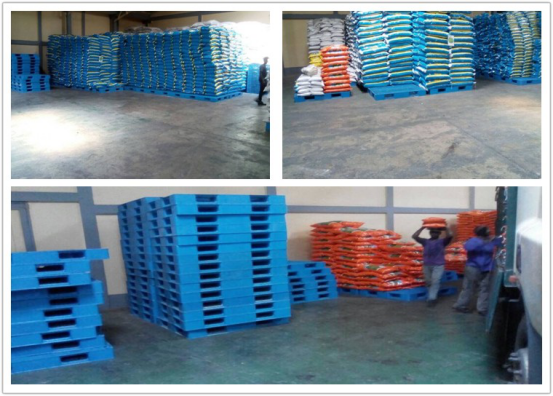 Client Photo: Pallet Stacking Durable Stackable HDPE Plastic Pallet for Flour Bags