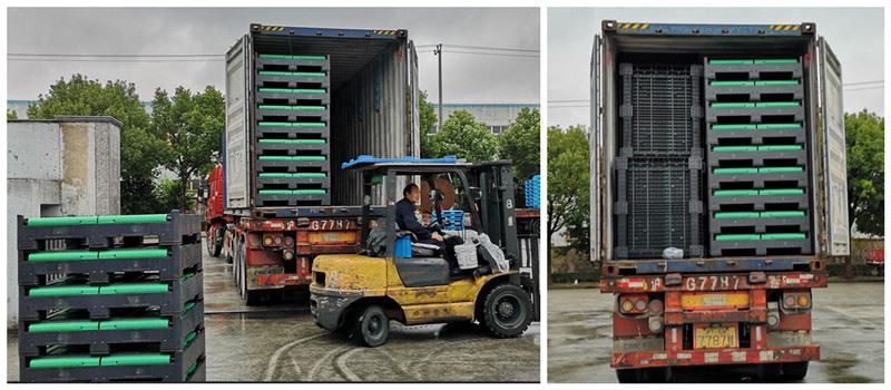 ISO Certified HDPE Plastic Pallet Heavy Duty Food Grade Collapsible Plastic Pallet Bin