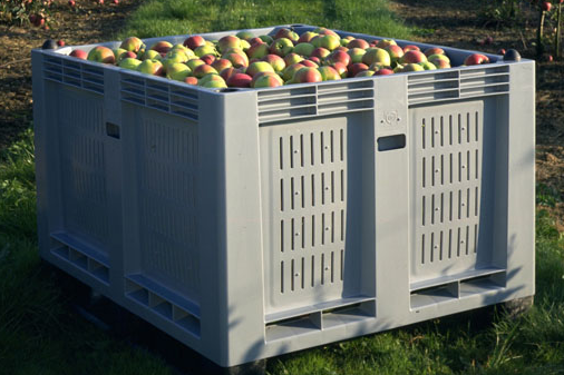 Heavy-Duty HDPE Vegetable Pallet Boxes for Logistics