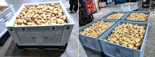 Durable HDPE Stackable Vegetable & Fruit Crate for Logistics