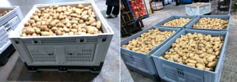 Greenhouse and Farm Storage HDPE Foldable Plastic Bulk Container for Logistics
