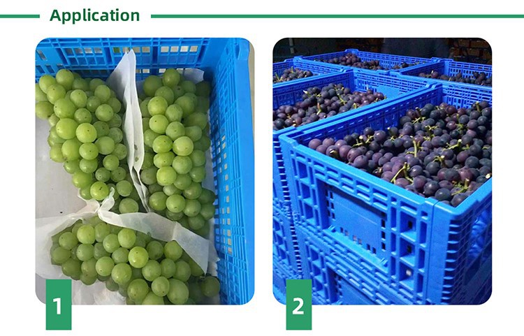 Reinforced and Durable Crate Design Durable HDPE Foldable Plastic Crates for Stackable Storage