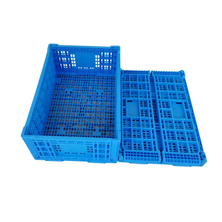 Durable Collapsible Plastic Fruit Crates for Logistics image 3