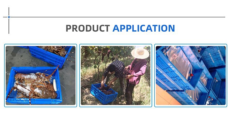 Heavy-Duty HDPE Stackable Vegetable Crates & Foldable Plastic Pallets