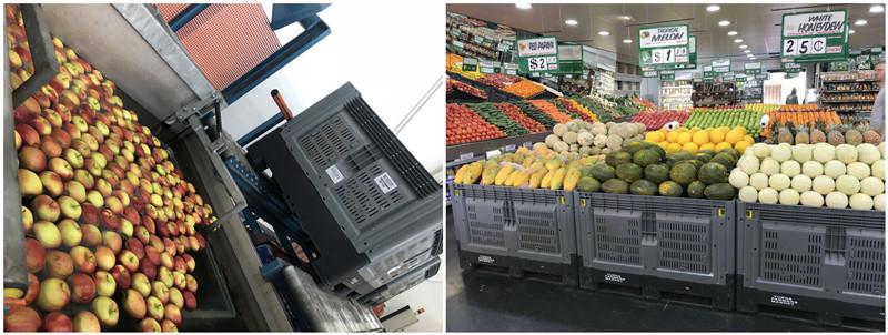 Durable HDPE Vented Plastic Pallet Bins for Bulk Storage