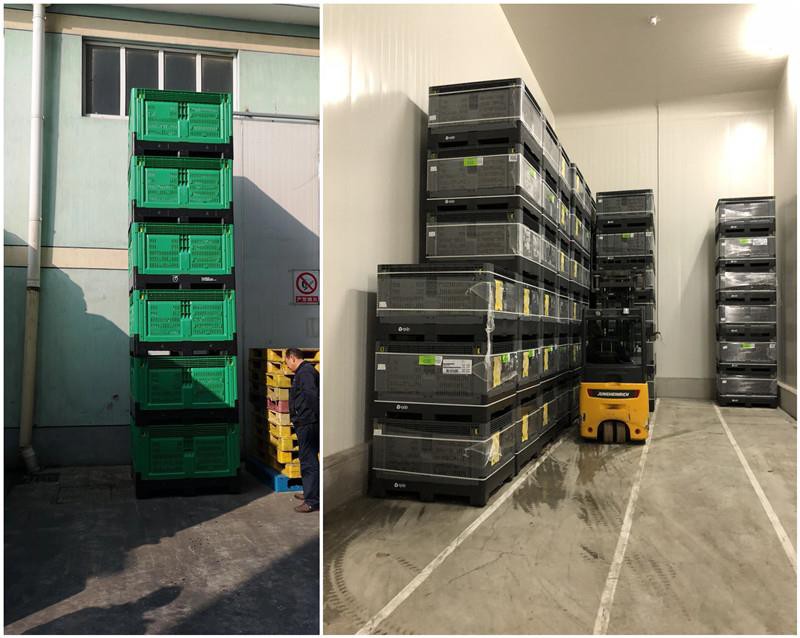 Durable Hygienic HDPE Folding Plastic Pallet Box