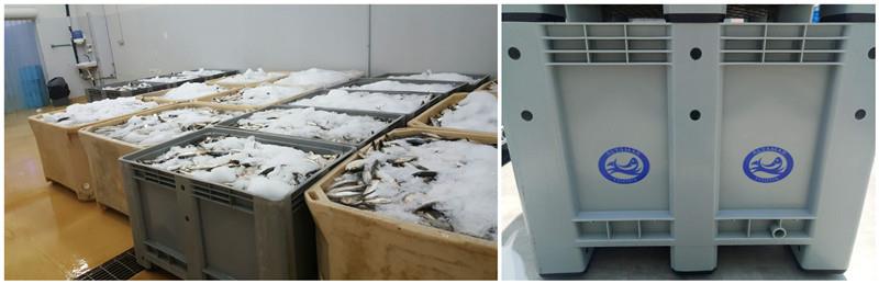 Fishing industry plastic pallet Heavy-Duty HDPE Plastic Pallet Container for Logistics