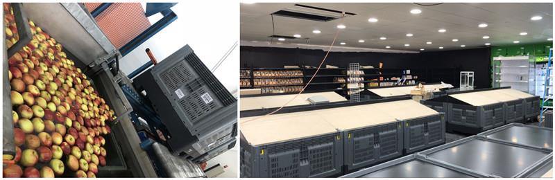 Heavy-Duty Foldable Plastic Container for Logistics & Storage