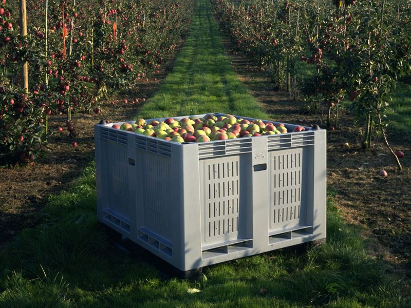 Heavy Duty HDPE Large Mesh Plastic Pallet Bin
