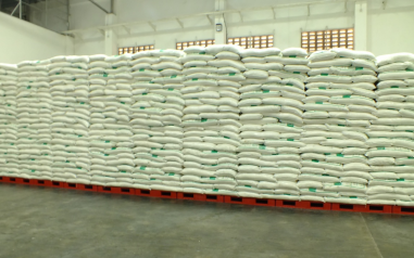 Durable HDPE Stackable Plastic Pallet for Warehousing & Shipping