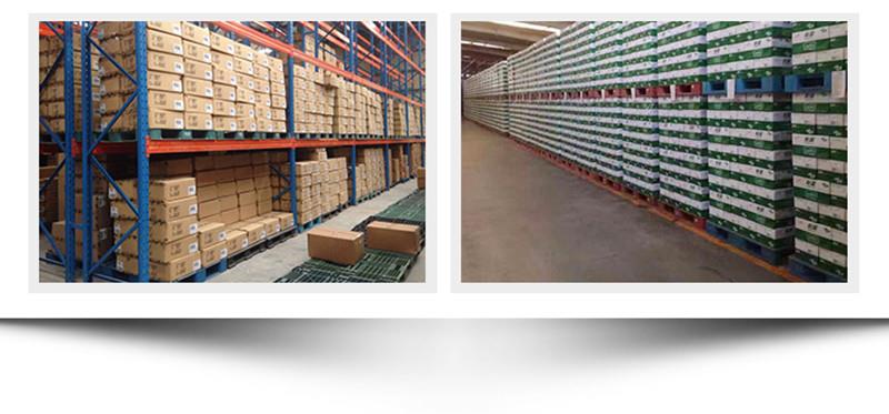 Heavy Duty HDPE Plastic Pallet for Logistics & Storage