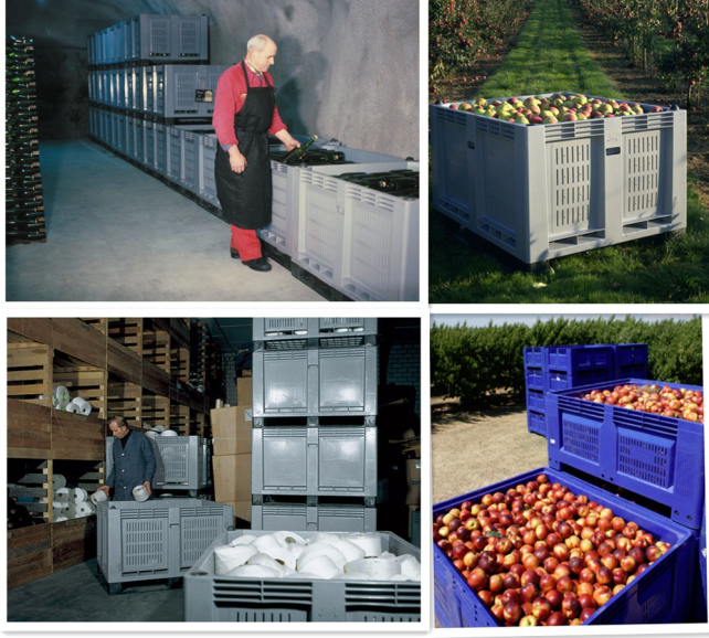 Durable HDPE Plastic Pallet Box 1200x1000x760mm