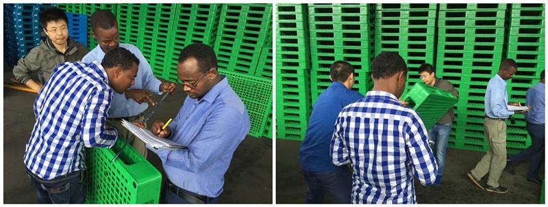 Heavy-Duty 1200x1000mm HDPE Plastic Pallet for Hygiene