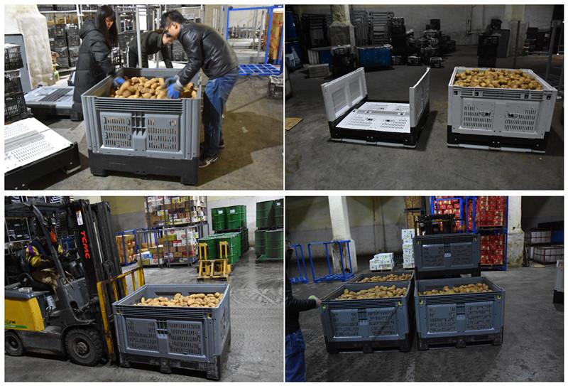 Australian Standard HDPE Collapsible Bulk Container for Logistics